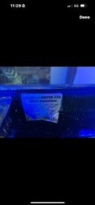 red sea fish tank