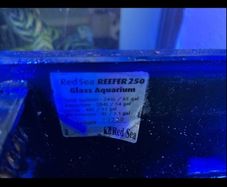 red sea fish tank