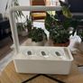 Smart Garden 3 Ready to Grow Image 3