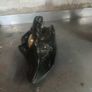 Bog Oak Clock Image 4