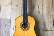 Tanglewood Handcrafted Guitar TW -20