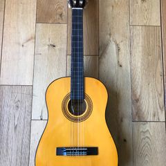 Tanglewood Handcrafted Guitar TW -20