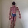 Palitoy action man Image 8
