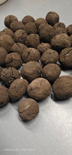 Aquarium Clay-peat balls 20 pieces