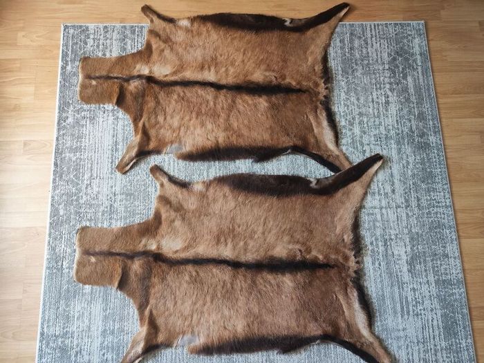 Genuine deer hide rugs
