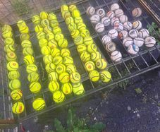 sliotars