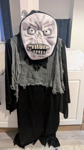 Halloween costume
