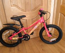 Kids 16" Bike