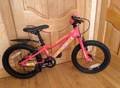 Kids 16" Bike