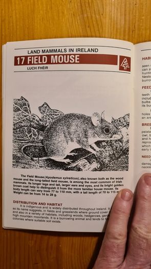 Land Mammals In Ireland. Issued By Forest And Wildlife Service. Leesonane Dublin. Booklet.1986.