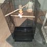 bird cage Image 2
