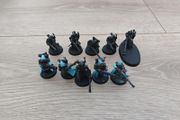 Warhammer 40k Adeptus Mechanicus Skitarii Rangers