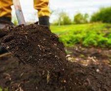 Free Garden Soil
