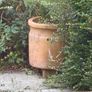 plant pots Image 4