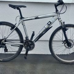 Cheap Guys Bike