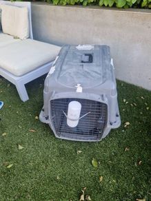 Dog Crate - FREE