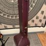 Sitar Image 7