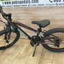 bike Image 9