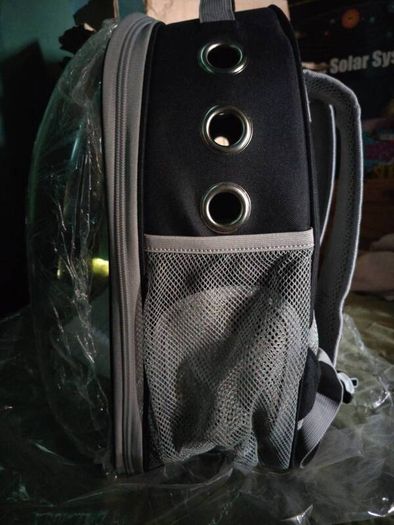 Kitten / Small Animal Carrier