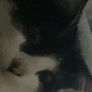 Lost Image 4