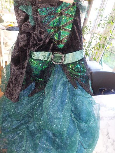 Witches costume (Halloween) ( fancy dress)