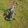 childs first bike Image 2