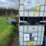 ibc Image 4