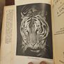 The Tigers Of Trengganu. By Lt.col. A. Locke. FORWARD BY MALCOLM MACDONALD. First Edition 1954 Hardback With Dustjacket In Good Condition.  See Photos For Same. Image 3