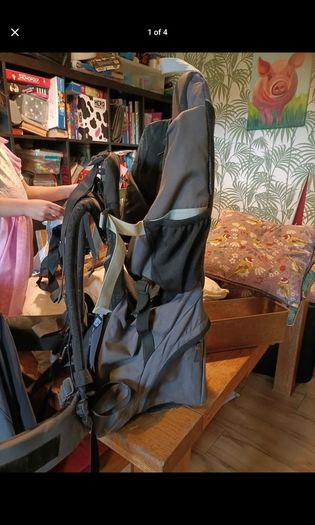 Phil and Ted walking/hiking baby carrier