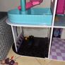 Lol Doll House Image 8