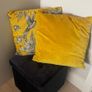 2 Velvet Cushions Image 4