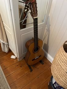 guitar and stand