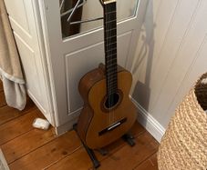 guitar and stand