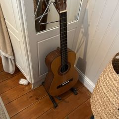 guitar and stand