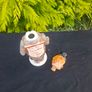 Funny novelty bottle postage possible Image 3