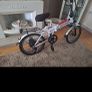 Electric bike Image 2