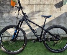 custom hardtail/dj mountain bike