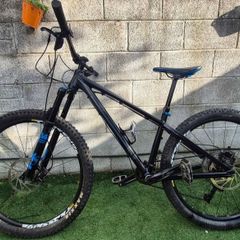 custom hardtail/dj mountain bike