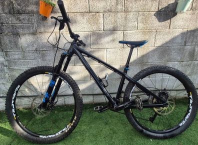 custom hardtail/dj mountain bike