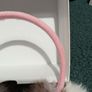 Fur ear muff's Image 5