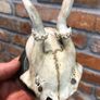vintage skull Image 5
