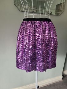 zara sequin skirt