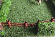 Cow Field