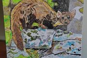 Pine Martin Painting