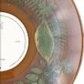 Dermot Kennedy "The Weight Of The Woods" Vinyl - Limited Woodland Green Edition LP - Rare 180g Collectible - Irish Indie-Pop Exclusive Image 6
