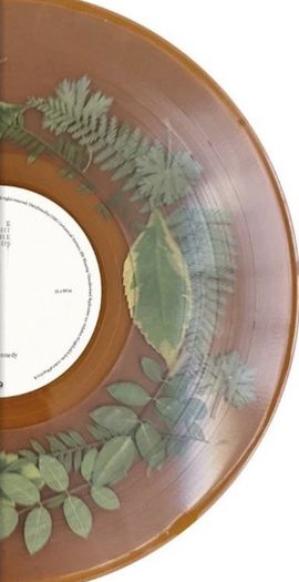 Dermot Kennedy "The Weight Of The Woods" Vinyl - Limited Woodland Green Edition LP - Rare 180g Collectible - Irish Indie-Pop Exclusive