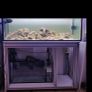 480L fish tank. Image 9
