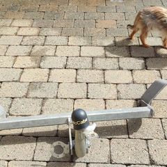 Towbar