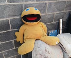 zippy