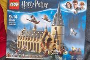 LEGO Harry Potter Hogwarts Great Hall (75954) Free shipping
